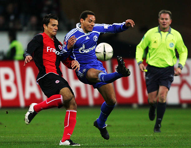 才能在国际 才能在国际